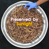 Kothavarai Seeni Avarakkai Vathal கொத்தவரங்காய் வத்தல்